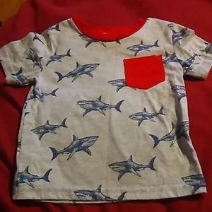 Toddler boys shirts bundle